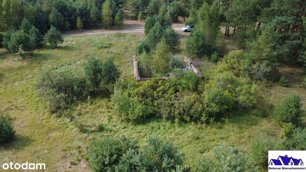 Siedlisko w sąsiedztwie lasu