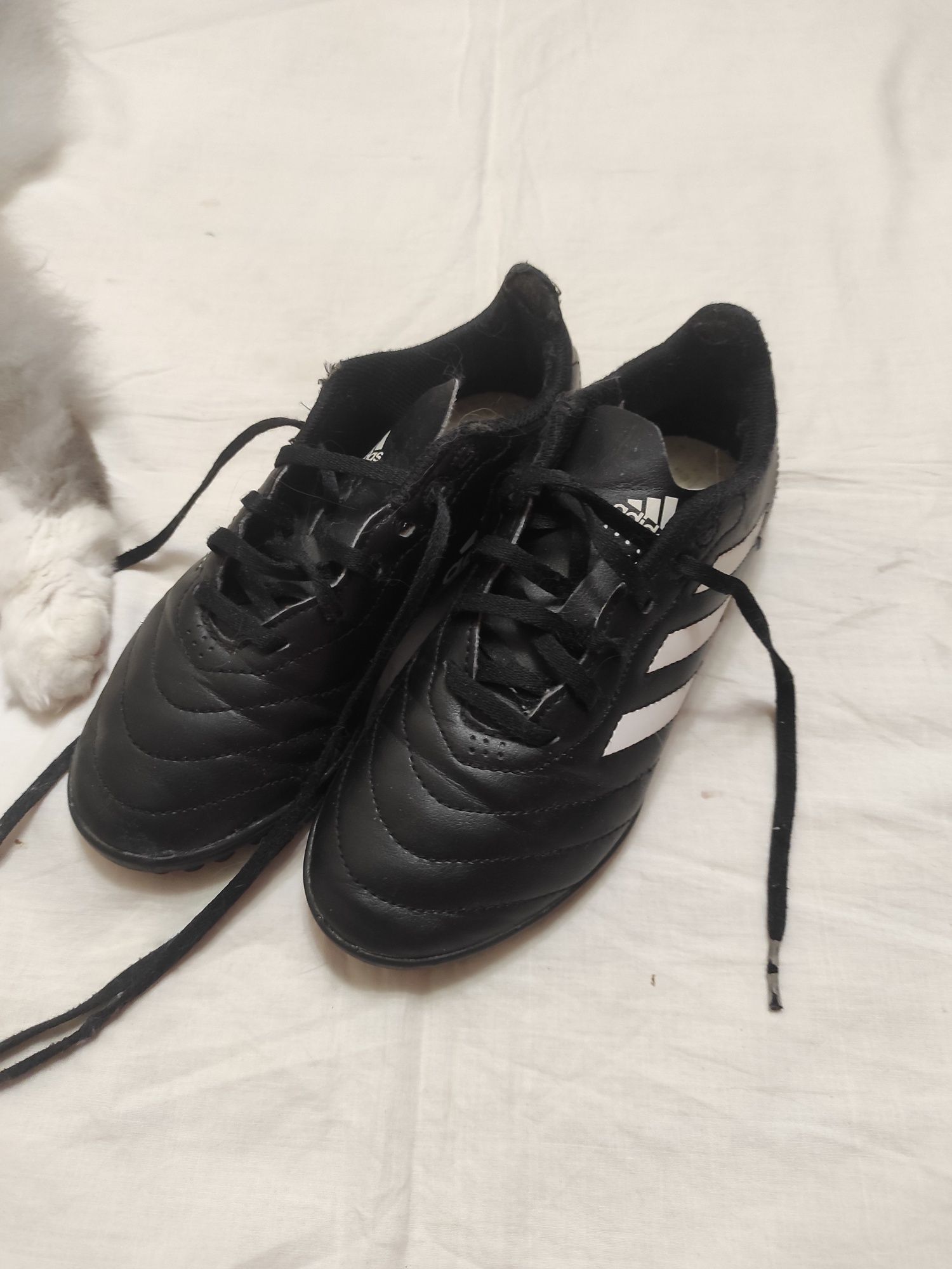 Сороконожки Adidas