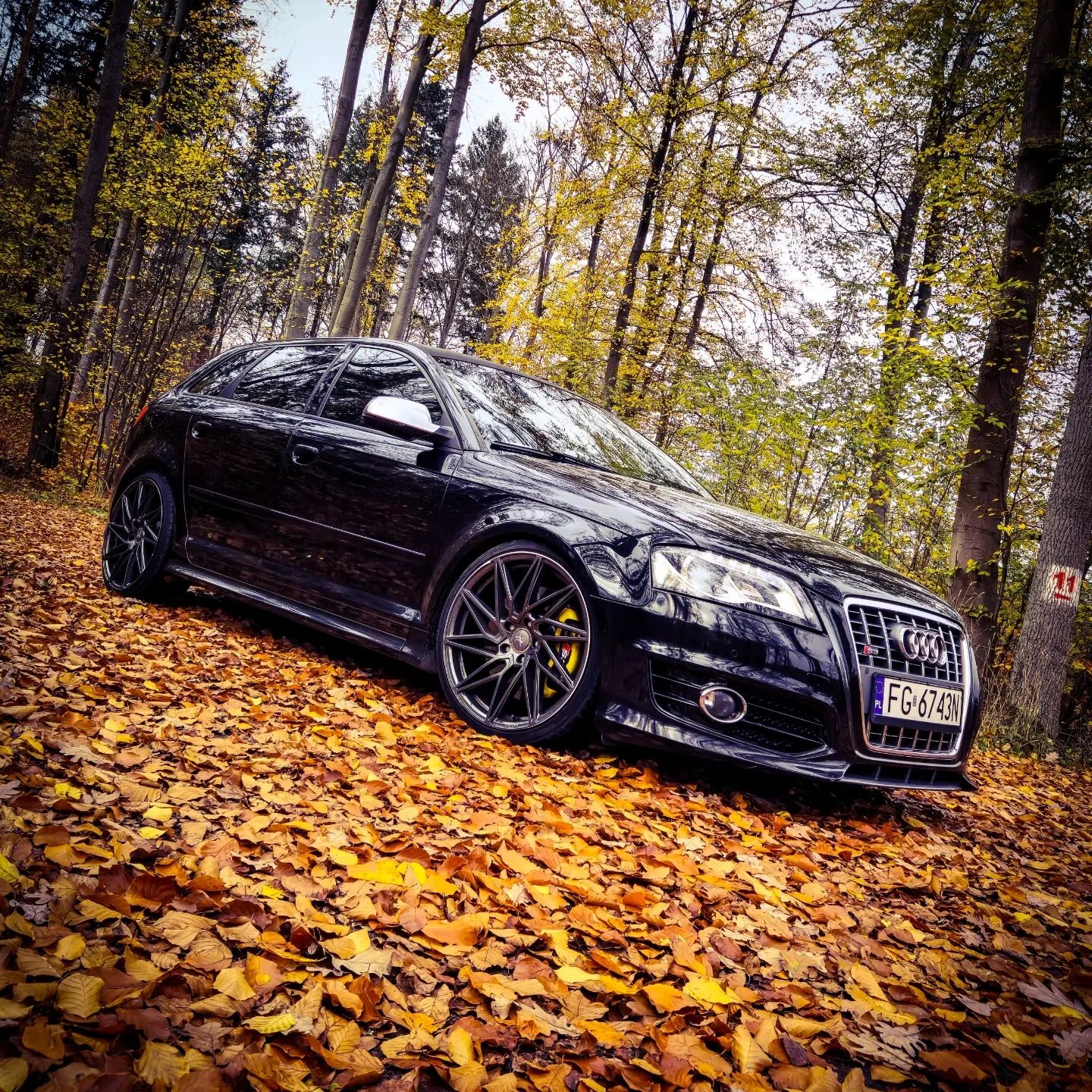 Audi s3 2.0 tfsi 8p dsg 344km quattro