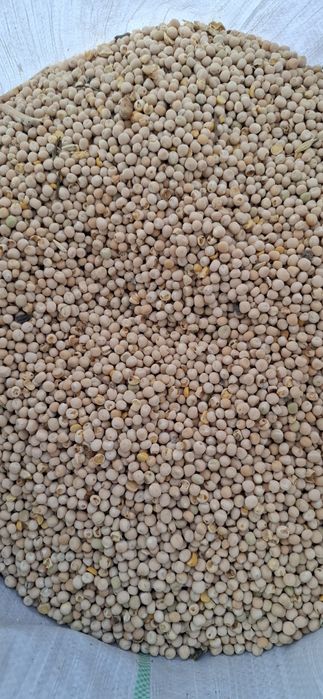 Продам горох на корм