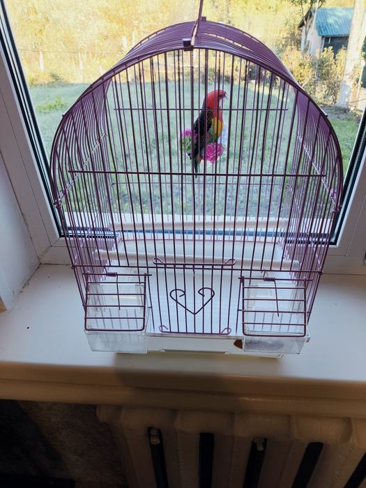 Клітка для попугая