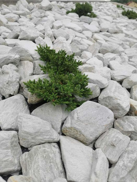 kora kamienna srebrnobiała kamienie ogrodowe ozdobne