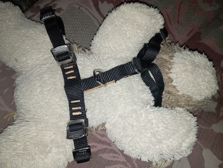 Шлейка для собак продажа или обмен