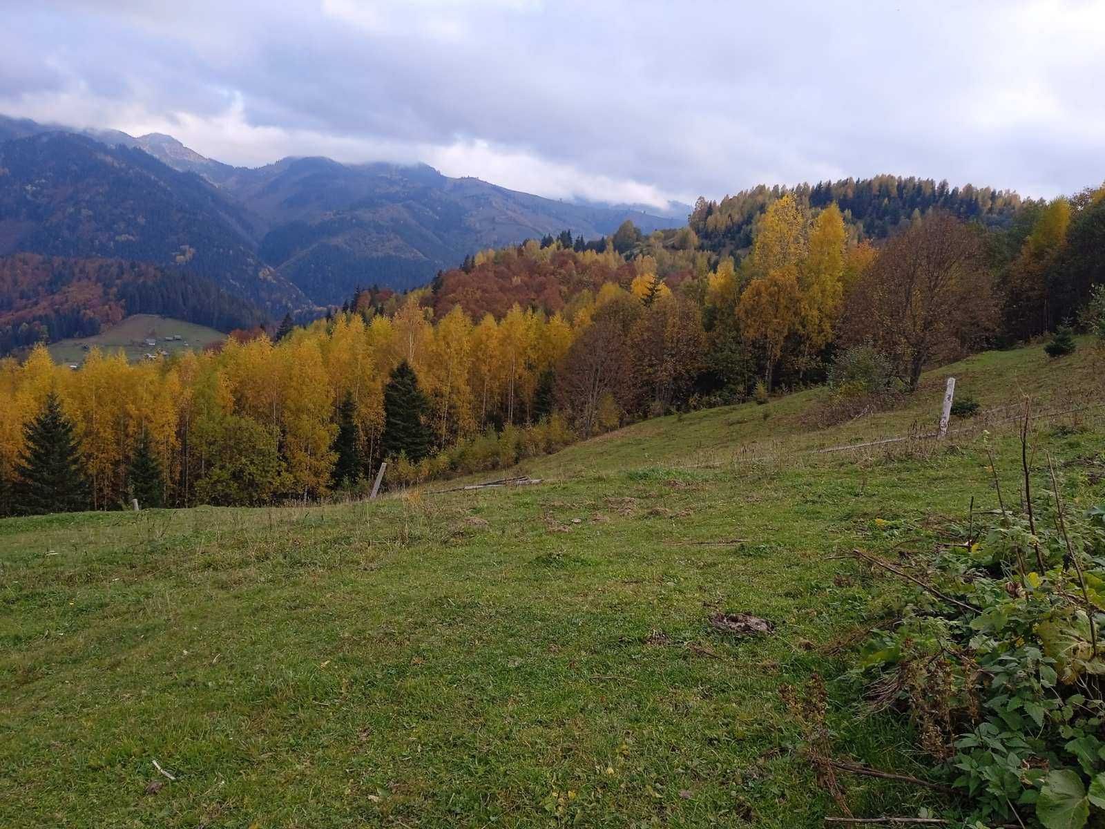 Продаю земельну ділянку