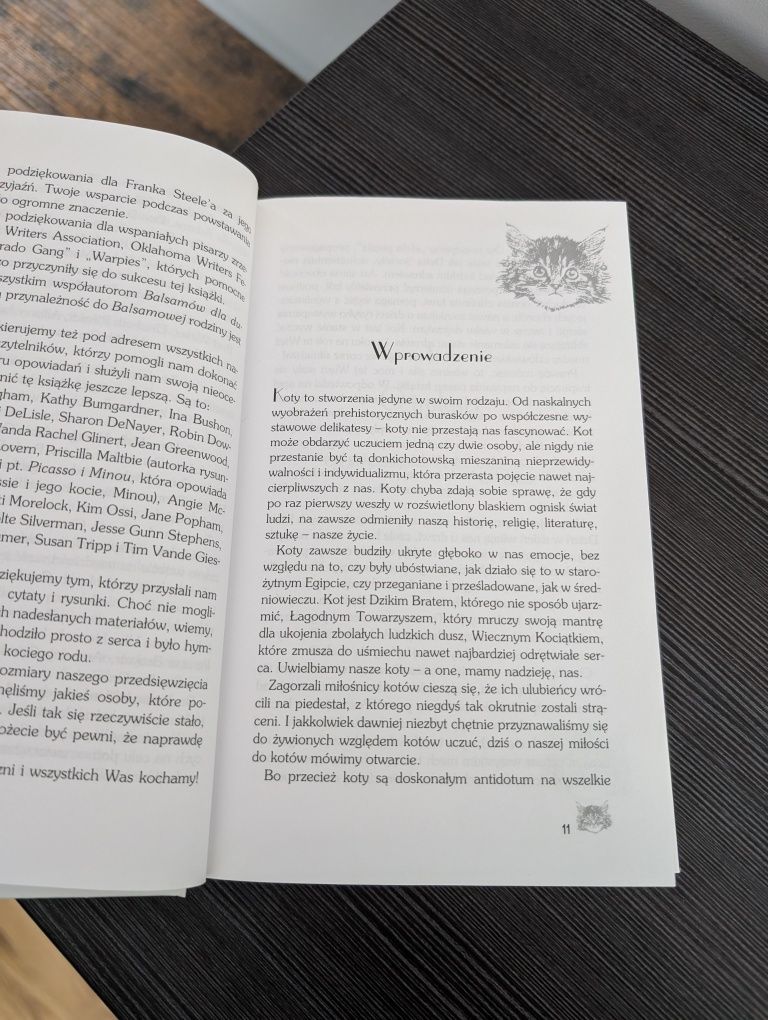 Książka "Balsam dla duszy miłośnika kotów"