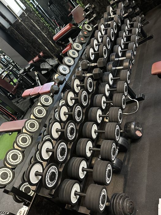 Zestaw hantli technogym 775 kg