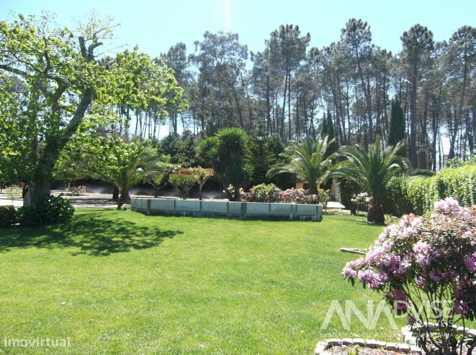 Quinta T6 Venda em Fornos de Maceira Dão,Mangualde