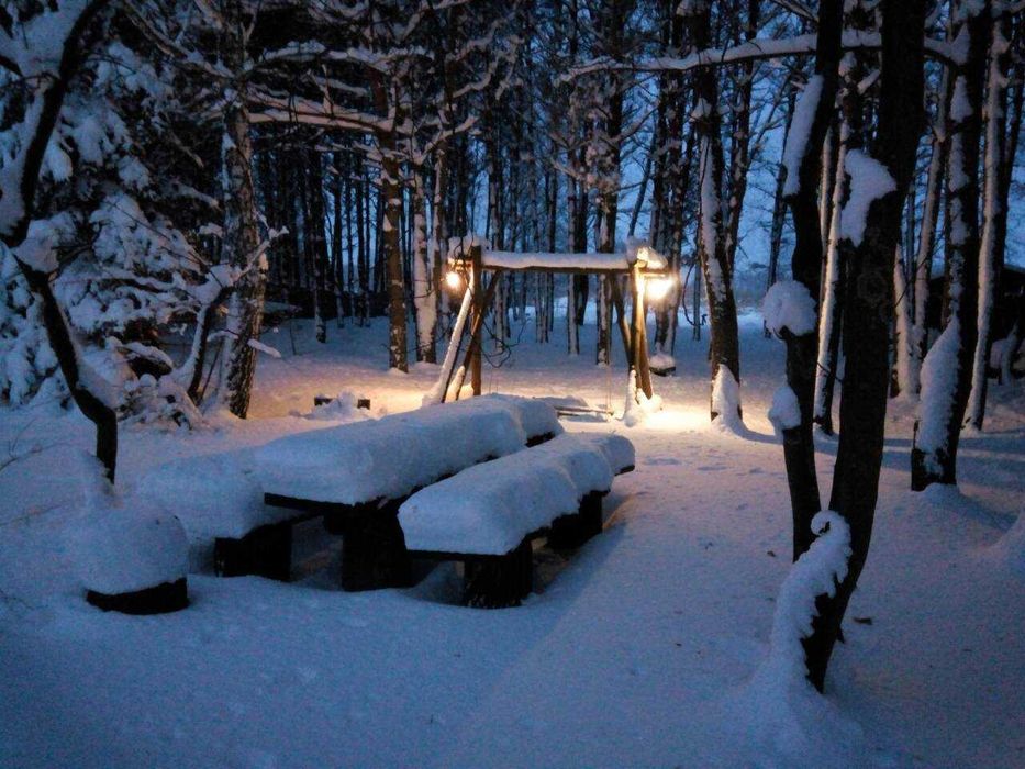 Здам на березі Дніпра два зруби з сауною у лісі.