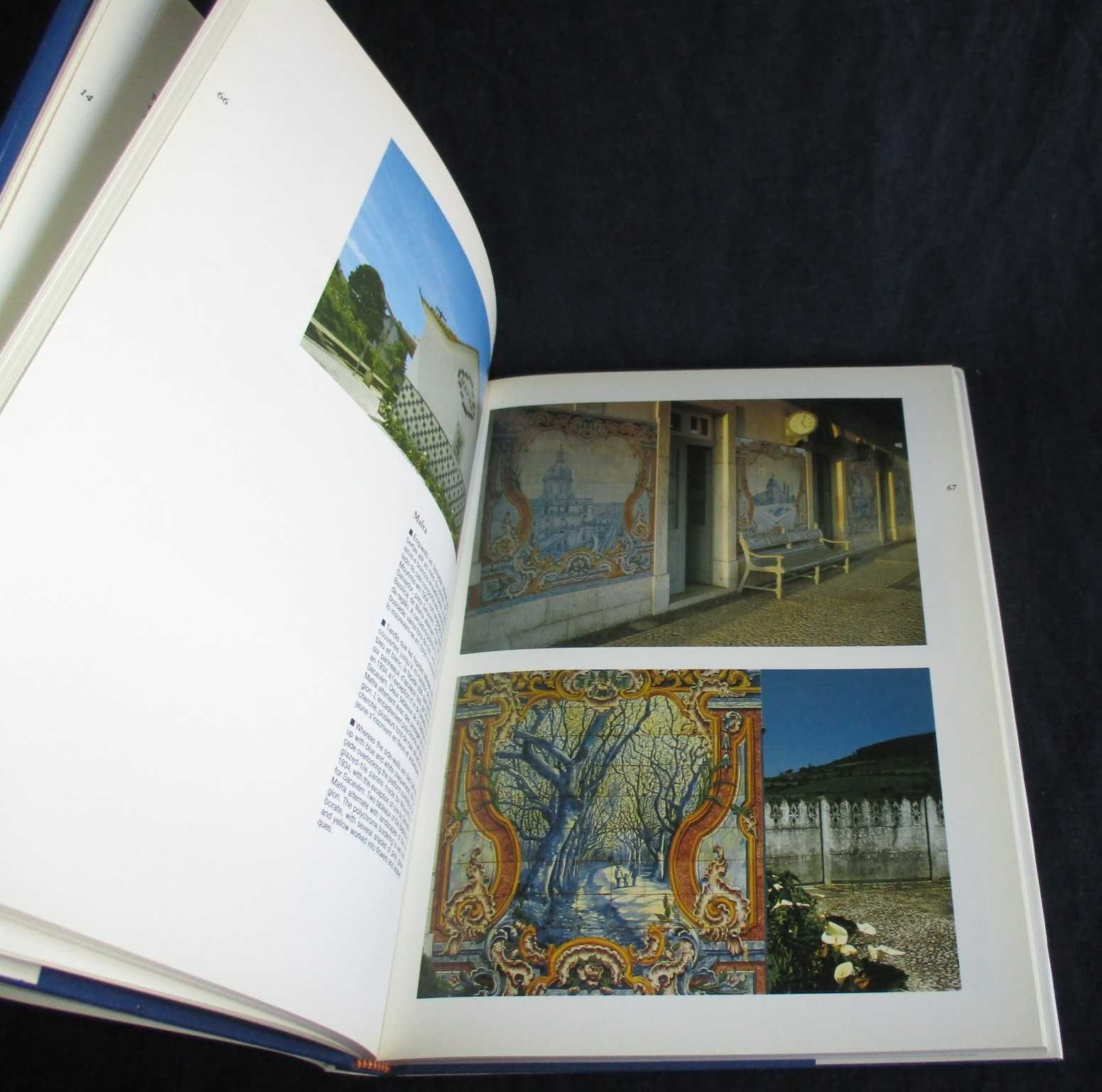 Livro Painéis de Azulejos no Século XX Imagens da Vida Portuguesa