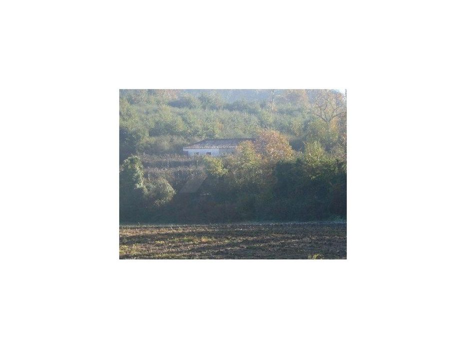 Quinta com 2 hectares em Bravães