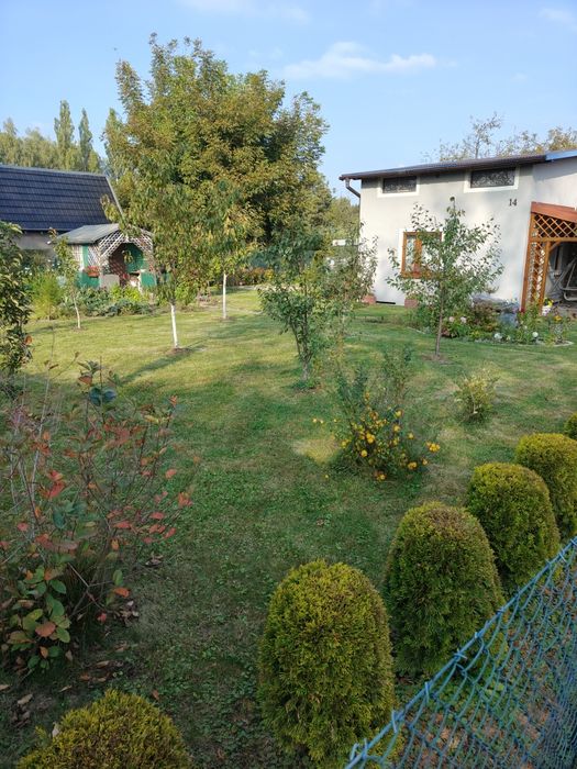 Sprzedam działkę ROD RENETA