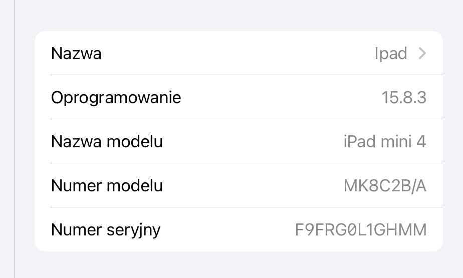 Apple Ipad mini 4