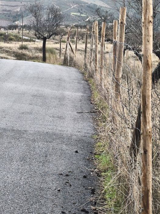 Terreno rústico em sequeiros
