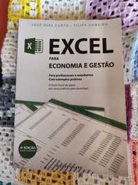 Livro Excel para Economia e Gestão