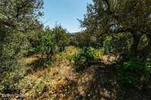 Terreno / Fundão, Carvalhal
