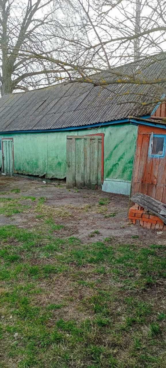 Приватний будинок в селі Вершинова Муравійка