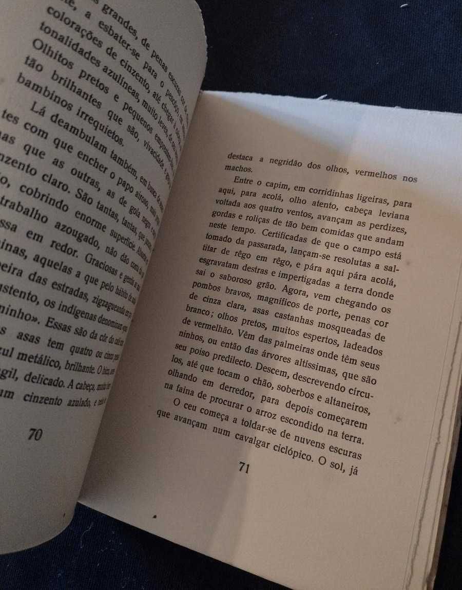 Africa da Vida e do Amor na Selva - João Augusto Silva