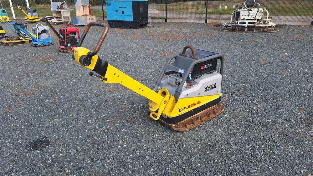 2019 Zagęszczarka Ubijak WACKER NEUSON DPU 5545 He 6555 Nr 890 wolf