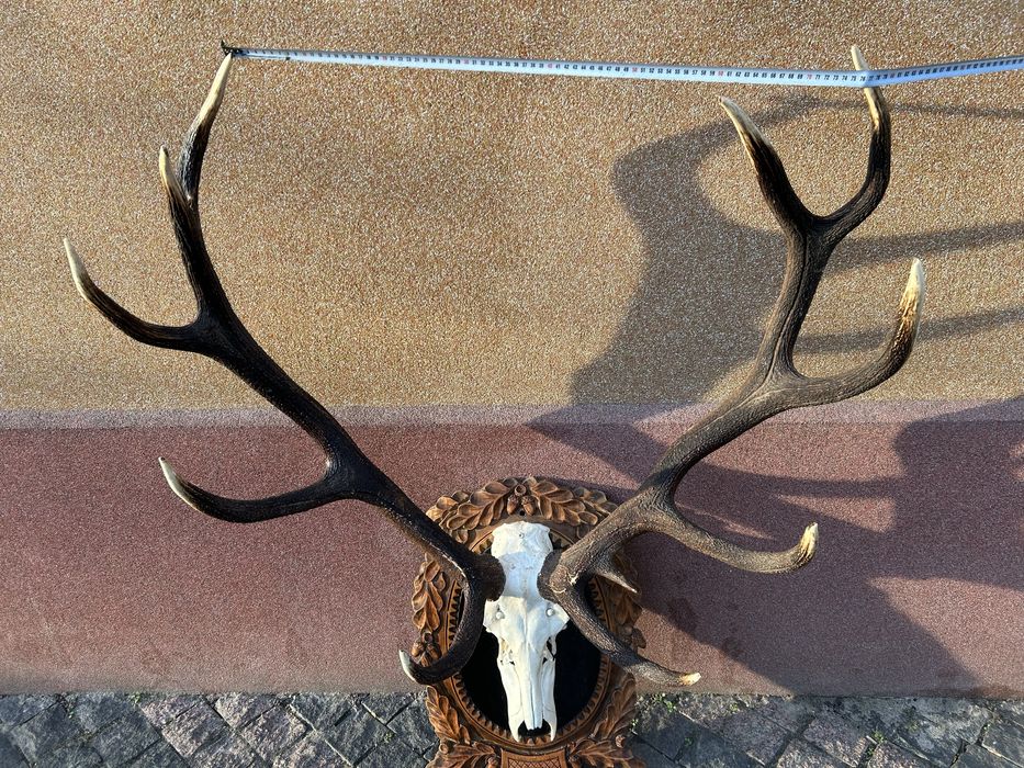 Виріб з ріг оленя