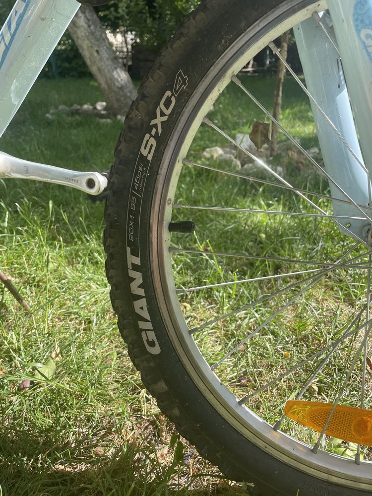 Дитячий велосипед Giant Areva 20
