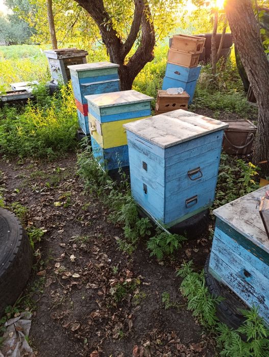 Продам улья 12ти и 10ти рамочные