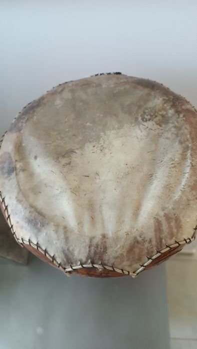 Bębenek afrykański z Tunezji