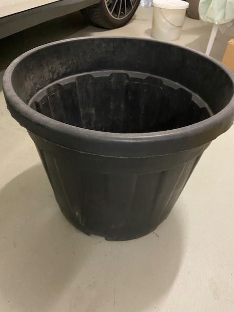 recipiente para plantas grandes