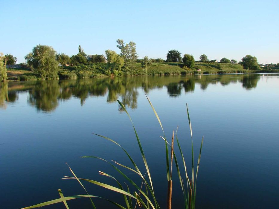 Ділянка під забудову 23 сотки. Газ, світло, асфальт. Поруч ставок