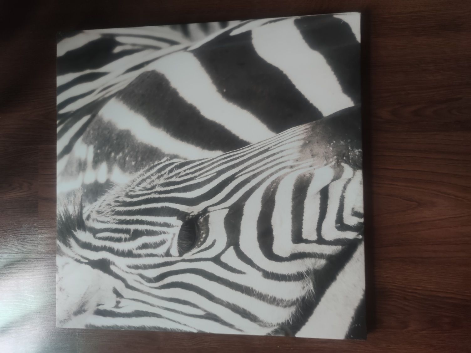 Obraz tryptyk 3 kwadraty czarno biały zebra