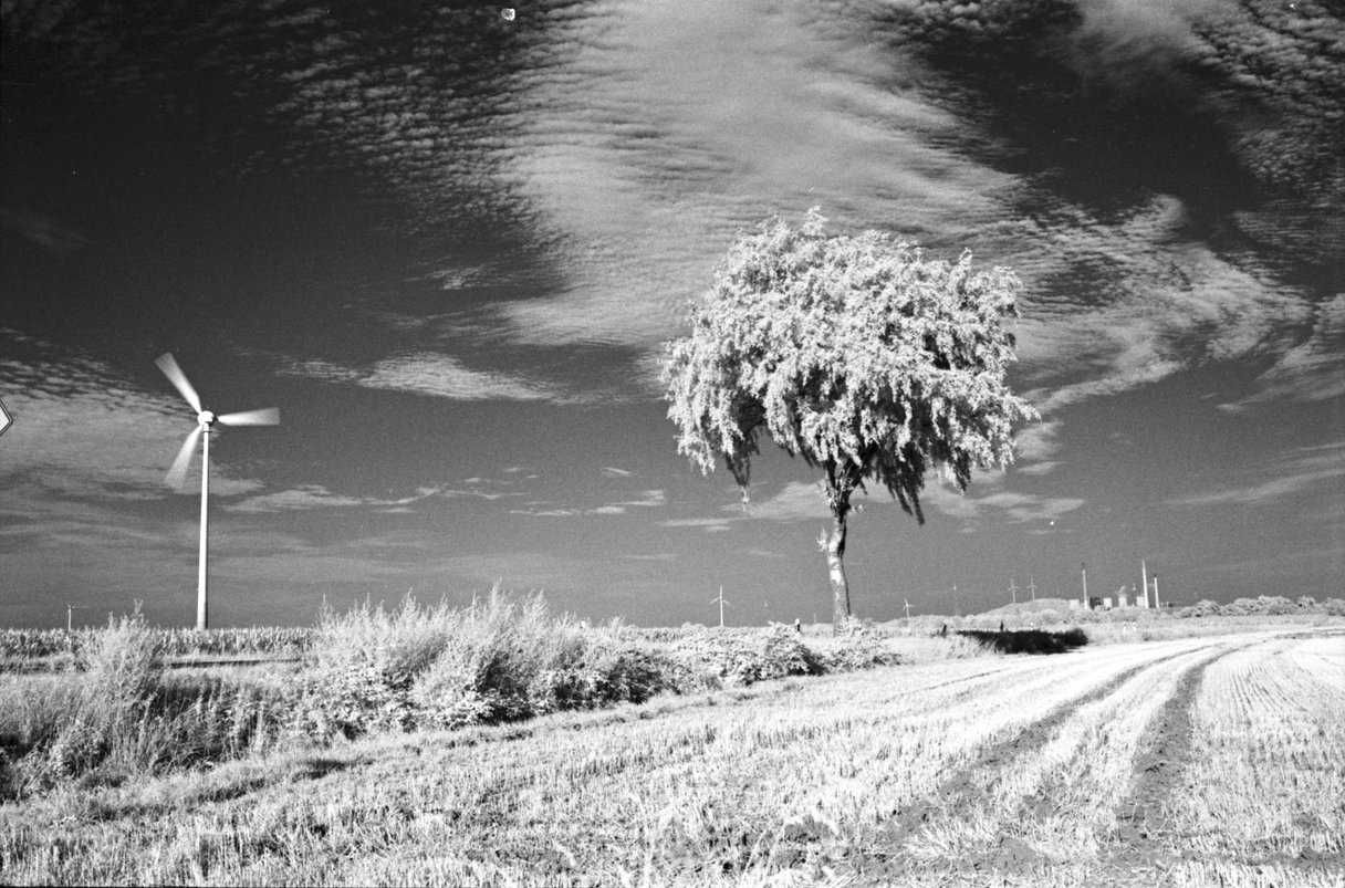 Інфрачервона фотоплівка Rollei INFRARED 400 / 36 кадрів