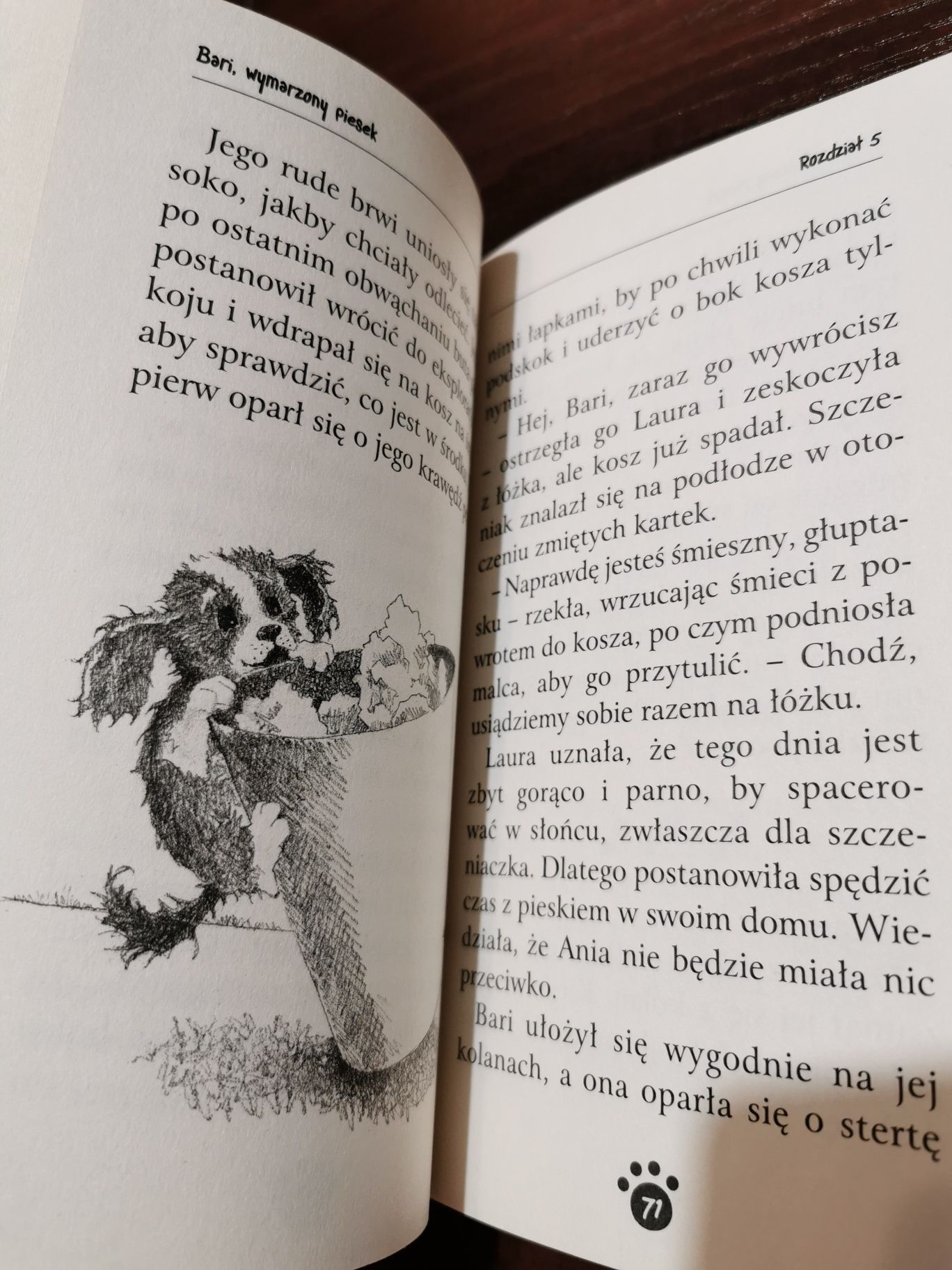 Bari, wymarzony piesek Holly Webb seria zaopiekuj się mną książka
