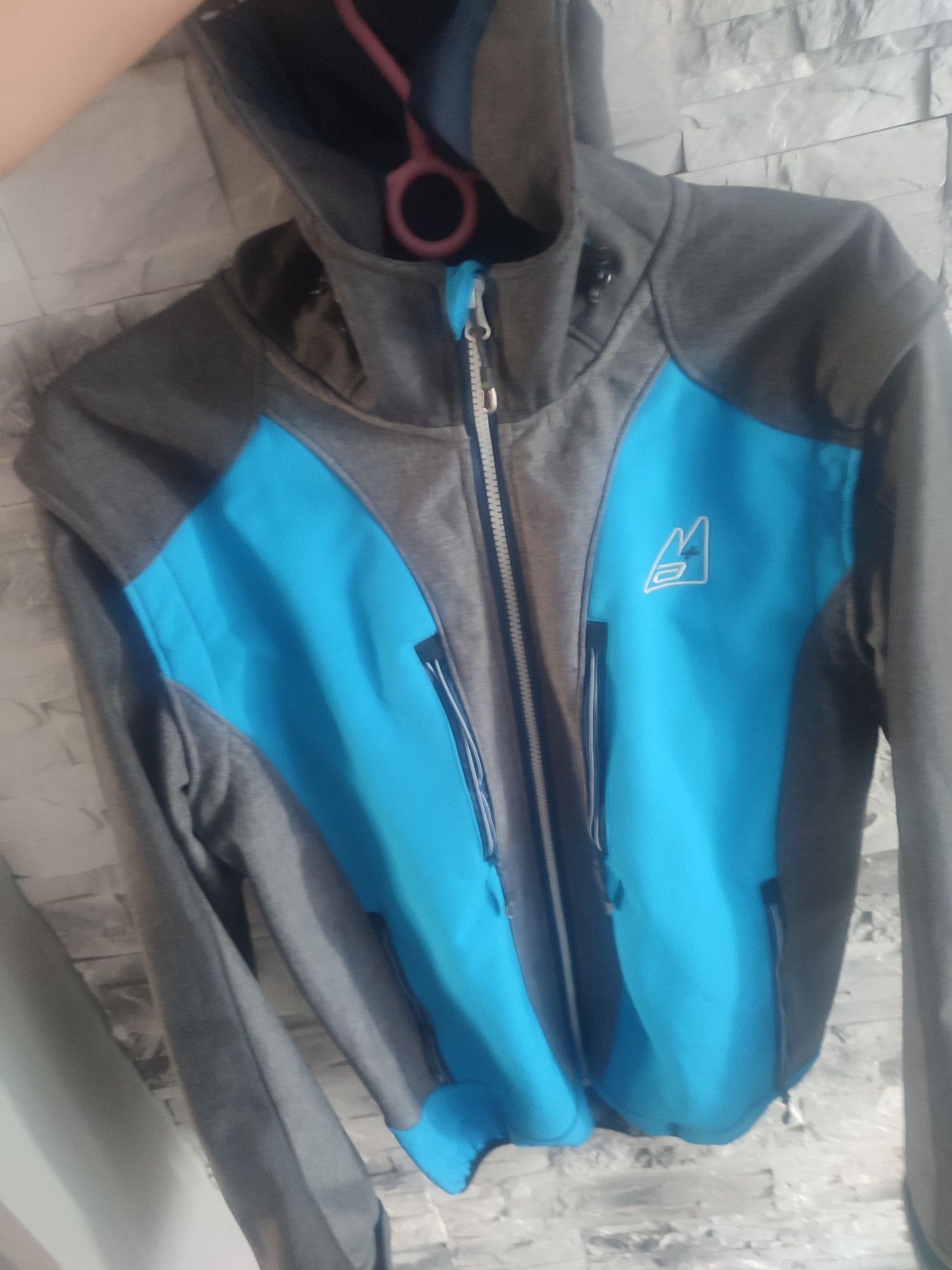 Kurtka męska Alpine Plus