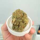 Sour Tropicana Sherbett - 2025 Nowy buch, susz cbd thc