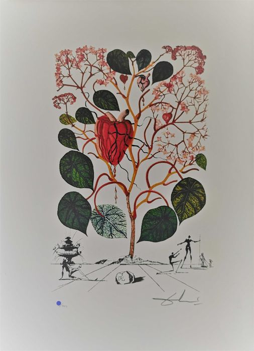 Salvador Dali - Litografias