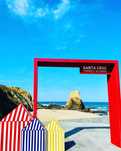 Investimento    T1 Santa Cruz