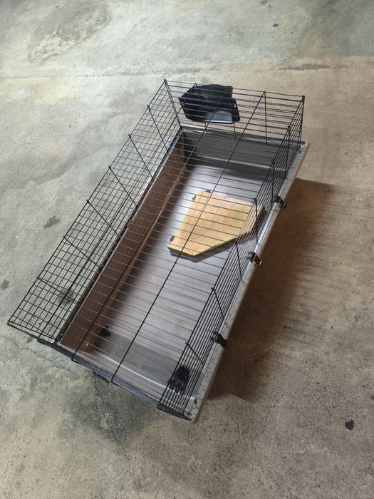 Casota coelho estimação