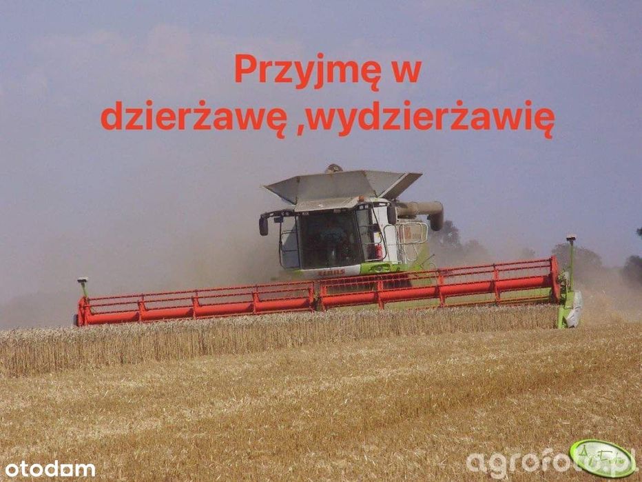 Wezmę w dzierżawę grunty rolne , odłogi