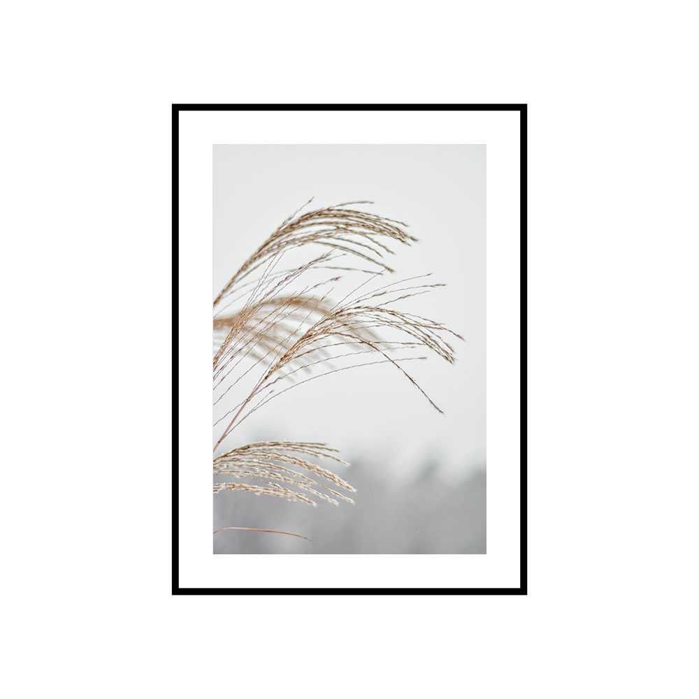 Plakat obraz zdjęcie format kwiaty suche trawy kwiaty boho A3 30x40cm