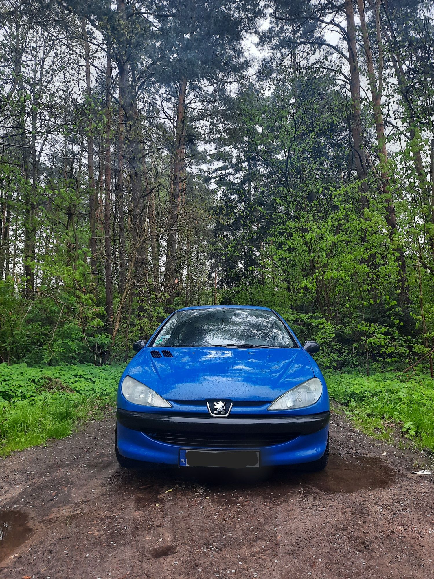 Peugeot 206 1.1 benzyna gaz