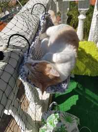 Cama de varanda para gatos