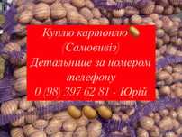 Куплю картоплю! З виїздом на дім.