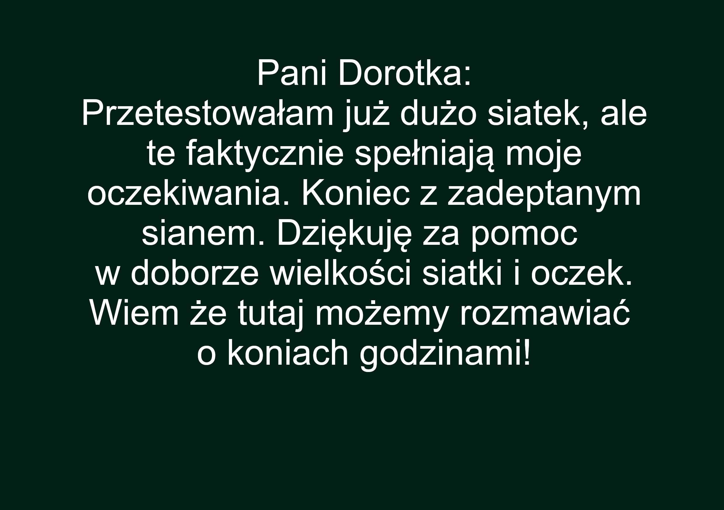 Siatka na siano zielona DUŻA 150cm x 100cm dla koni