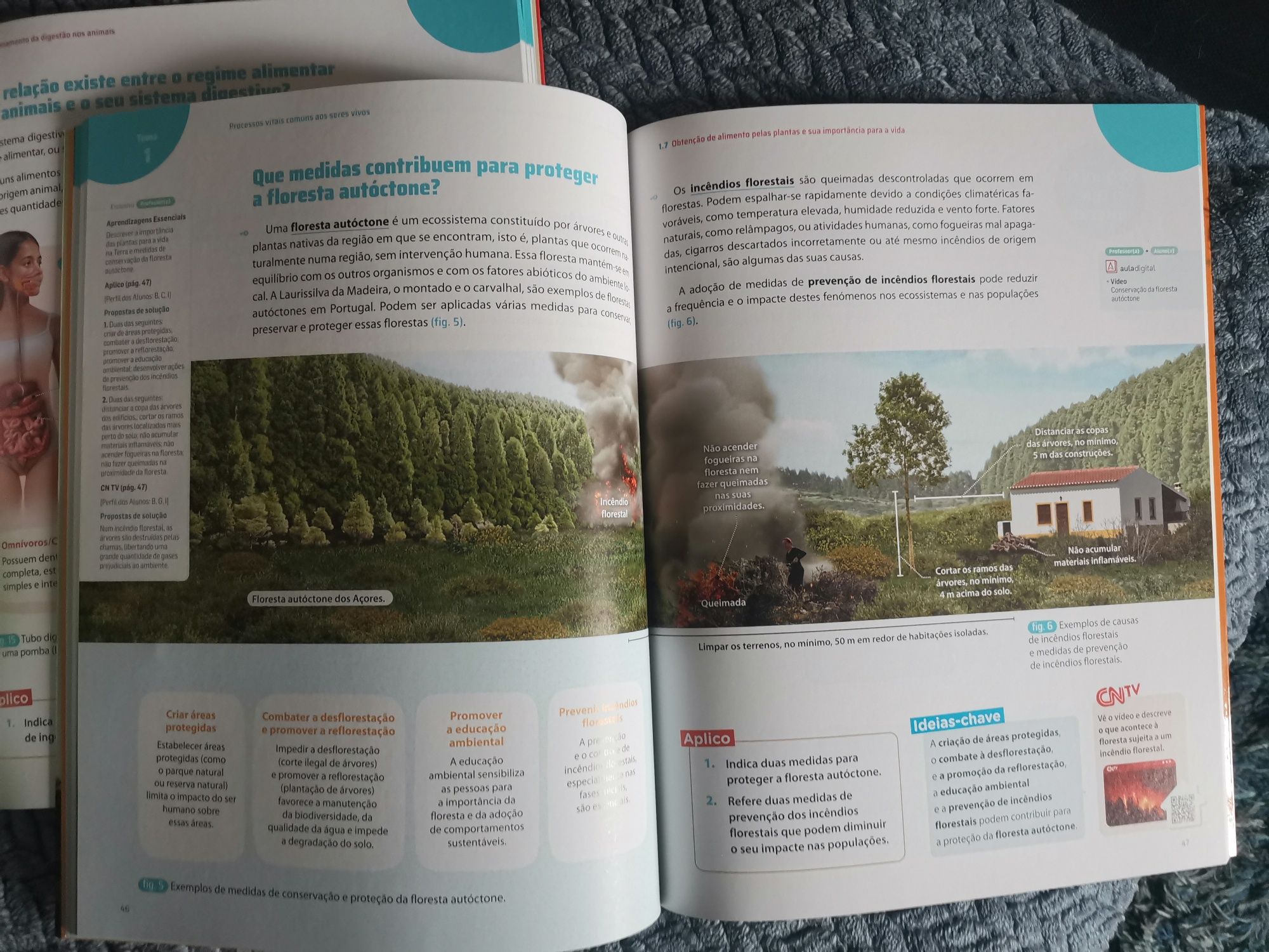 Manual novo Ciências da natureza - ADN 6