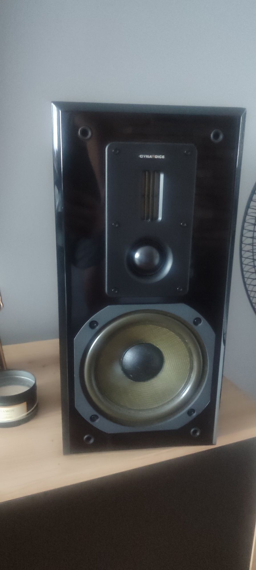 Kolumny Dynavoice pm6
