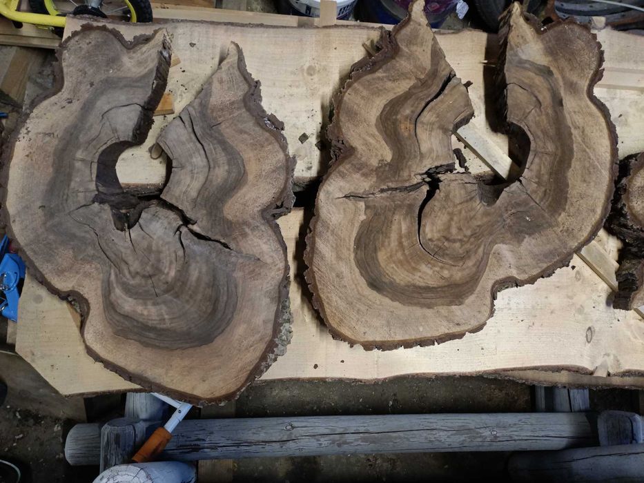 Plastry orzech wloski 7cm żywica stolik