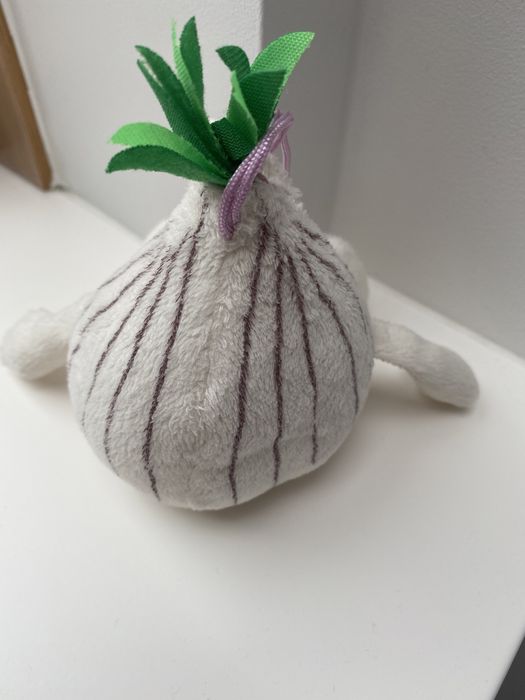 Sprzedam świeżaka Gang świeżakow Czosnek Czesio