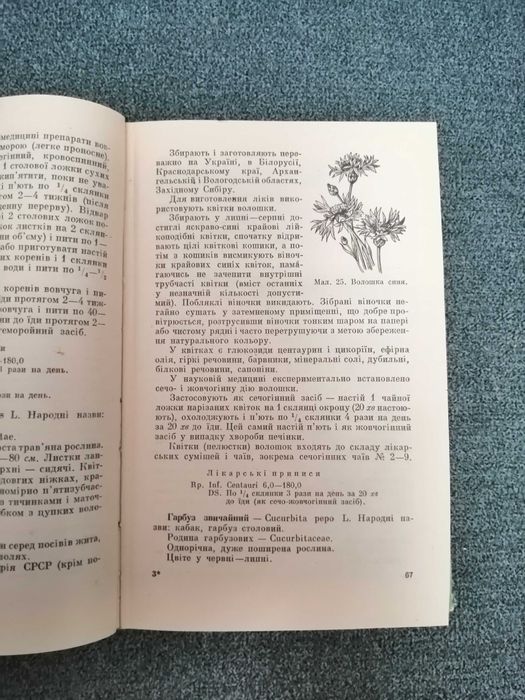 "Лікарські рослини і їх застосування в народній медицині"