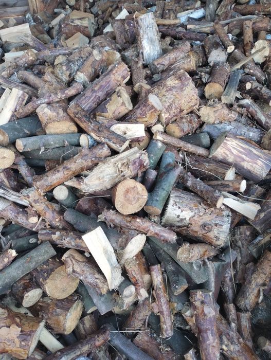 Suche Drewno opałowe sosna. buk.brzoza olcha