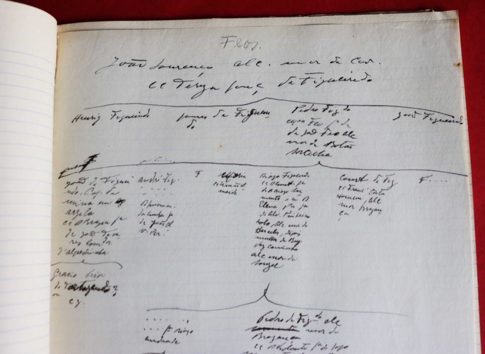 Feios - Távoras de Campo Bello - caderno apontamentos genealogia 1912