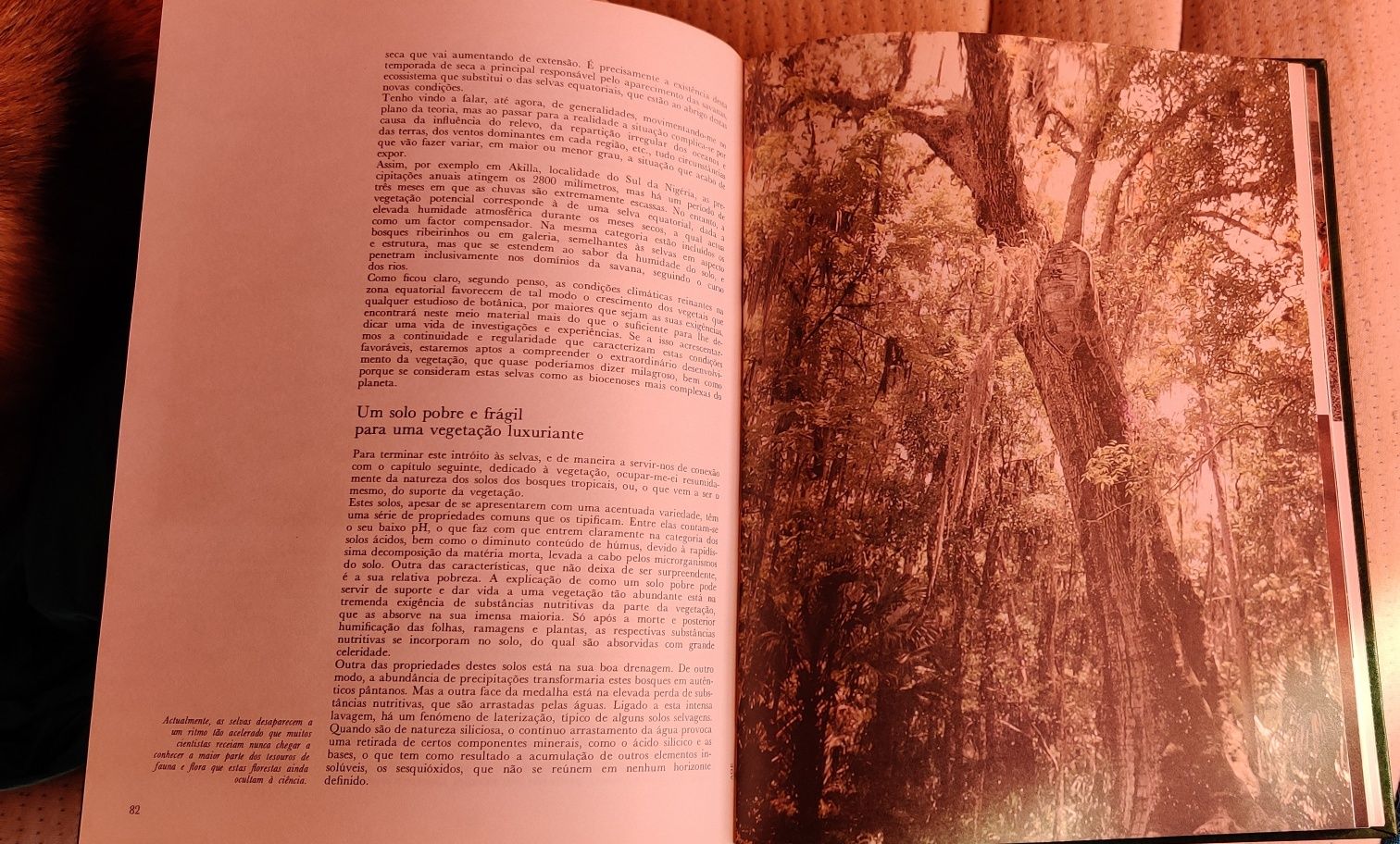Livros A Aventura da Vida, Cronica de Viagens (tb vendo em separado)